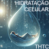 THTC
